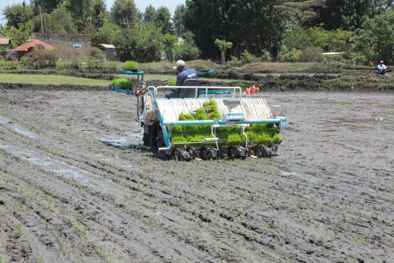 ケニアにおける田植えの機械化促進への取り組みがJICA「中小企業・SDGsビジネス支援事業」に採択